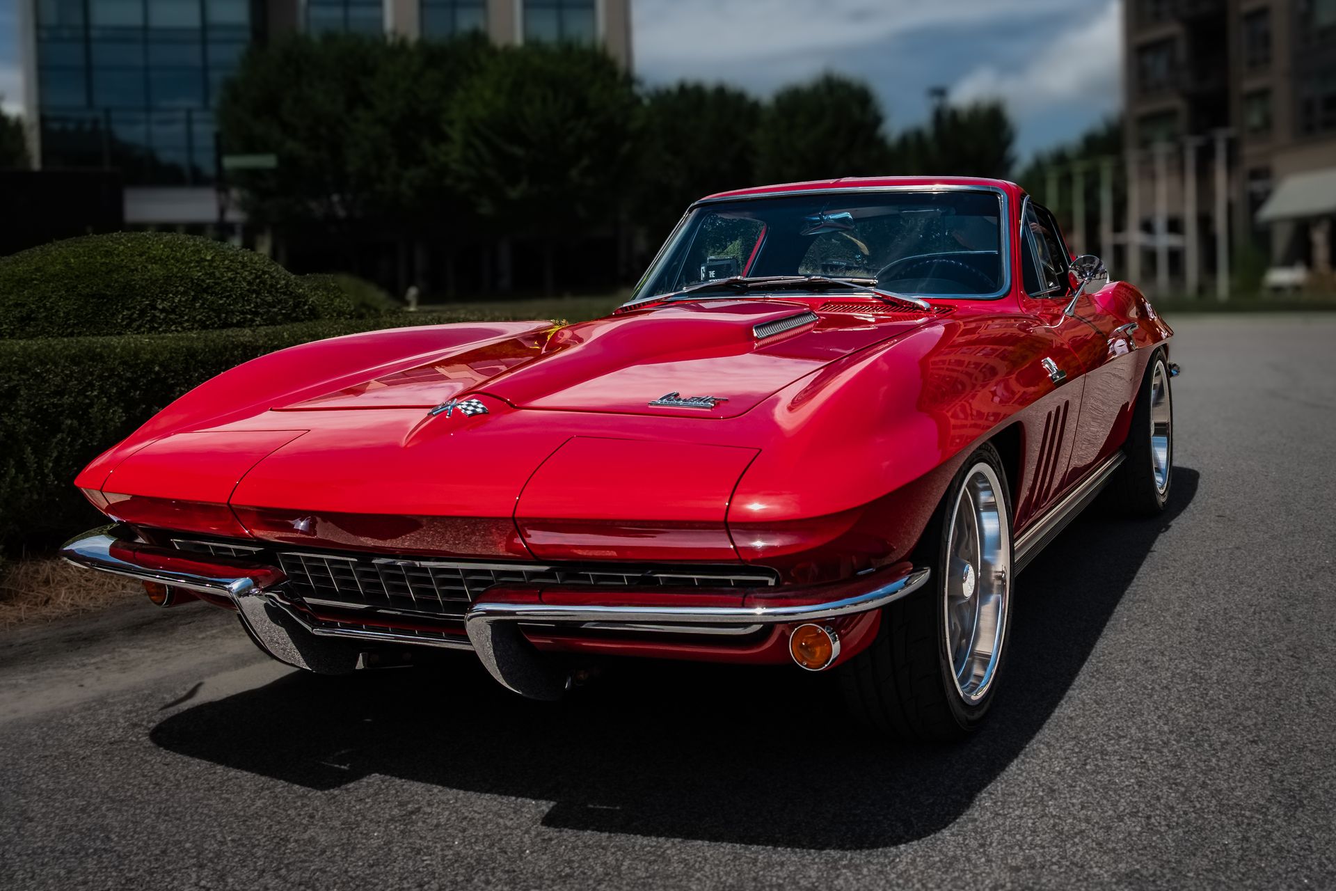 Very Red Stingray